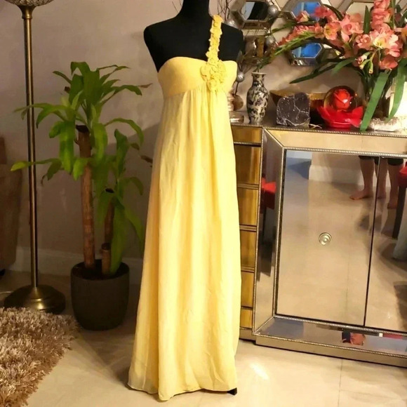 Bcbg Maxazaria silk backless dress size 6P - Picture 1 of 4